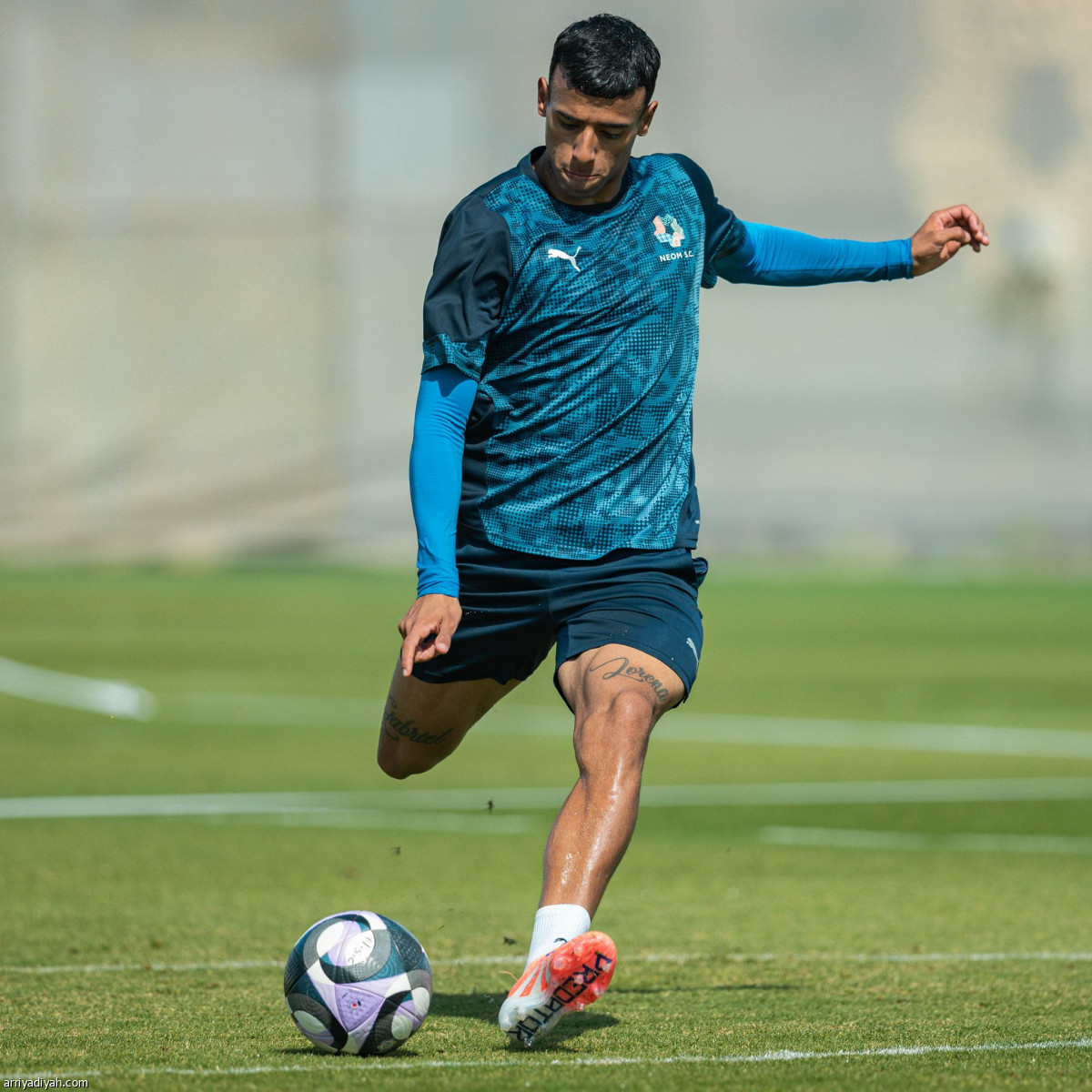 تحضيرات نيوم